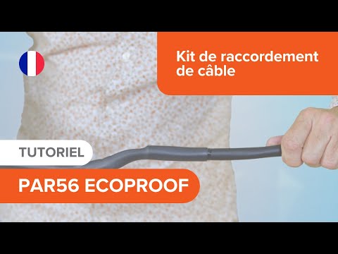 youtube - [Video]