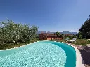 csm_Swimming_pool_RENOLIT_ALKORPLAN2000_Sand__18__63f797200b.webp