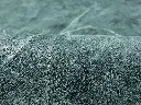 csm_JMLR4879_4edf70ba44.webp