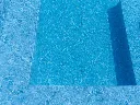 csm_Alive_Blue__19__1f80f86d2c.webp