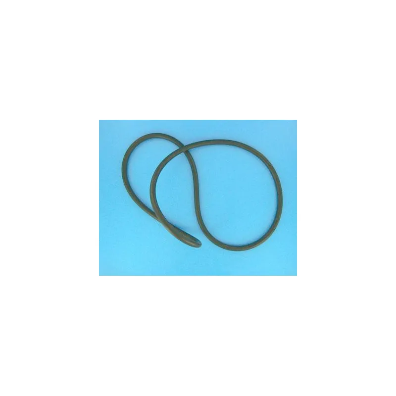 joint-de-cuve-filtre-de-clean-clear-fns-quad-titan-tm.webp