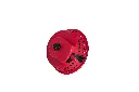 19286.webp