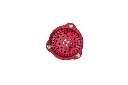 19307.webp