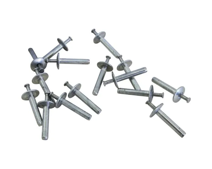 Boite de 250 rivets à frapper inox A2 longueur 25 mm