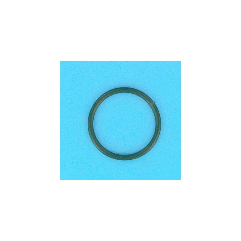 TRITON Joint torique Ø68 mm de liaison vanne/filtre Triton, Nautilus