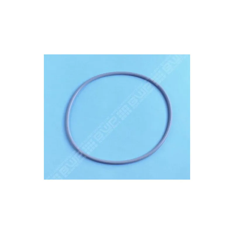 [422040] PENTAIR Joint de couvercle pour filre à sable Triton NM, Clear Pro, Tagelus 8"1/2 (210x4.6mm)