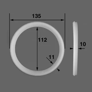 [44000047] AQUAREVA Joint de corps de lampe projecteur (lot de 2)