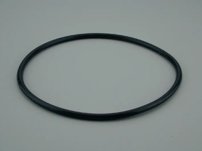 [4404070101] ASTRAL Joint de couvercle 8" filtre à sable Berlin, Star, Saturne