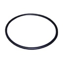 ASTRAL Joint de couvercle pompe Europa, Glass Plus, Starplus, Superplus, Malawi, Proline, Swimflo HGS D. 151,7 x 6,99 mm
