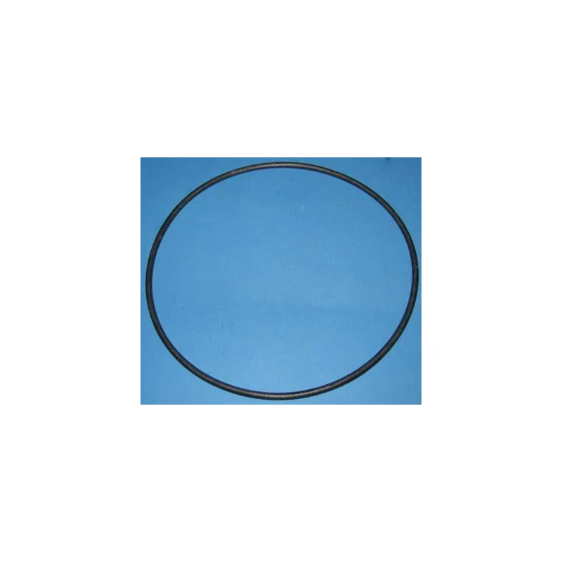 [R357255] PENTAIR Joint de couvercle pompe Superflo 37.002