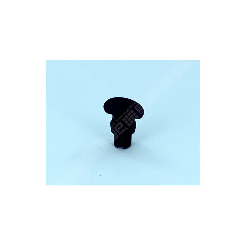 [9515102158] PENTAIR 1/4" Entleerungsschraube für transparenten, 8"1/2 FSAB Triton-Gewindedeckel