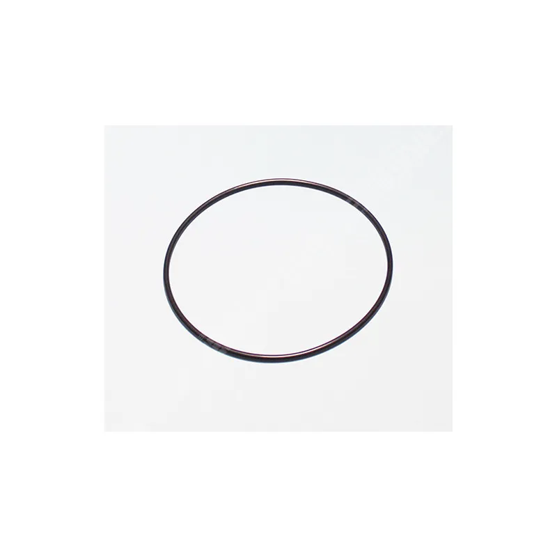 [R154493] PENTAIR Joint de couvercle de filtre PENTAIR Tagelus Bleu TA475 et TA610 - Triton 6" R154493