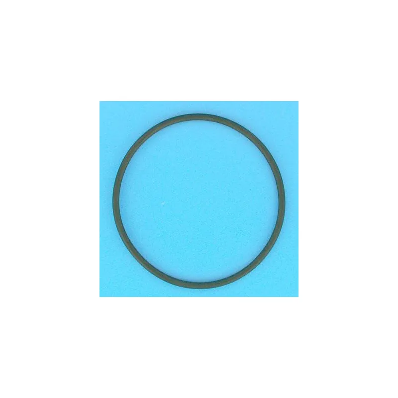PENTAIR Joint torique 123,2x5,8 mm de vanne 1"1/2 Top Tagelus/Azur 19" et 24"