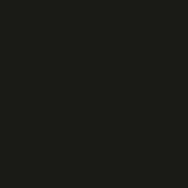 [00328003F] ALKORPLAN NATURAL POOL Pvc armé 150/100ème couleur NOIR rouleau de 41 m2 (20m x 2,05m)