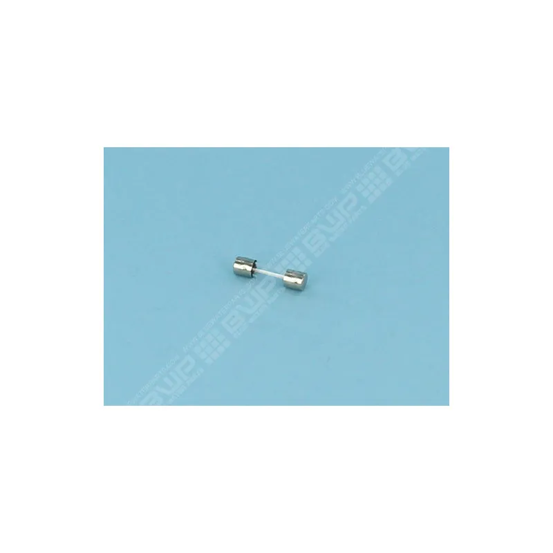 [W013005] ZODIAC Fusible 500 mA T